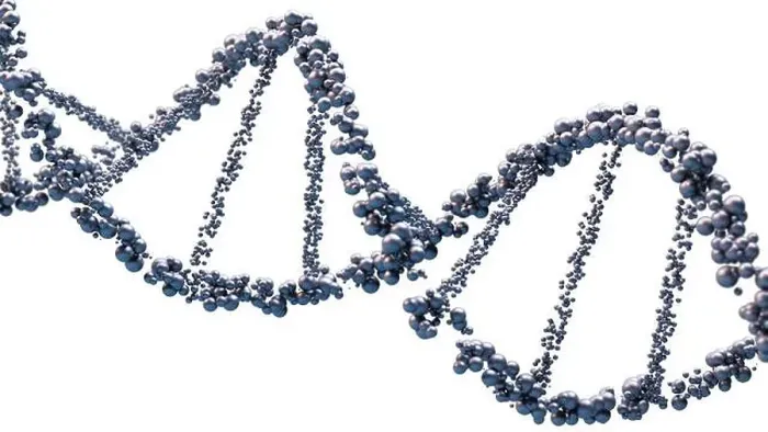 Framed Print : DNA Structure Print: Microscopic View of Genetic Information Molecules Framed Print : DNA Structure Print: Microscopic View of Genetic Information Molecules