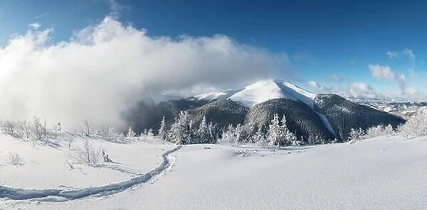 Fantastic winter landscape panorama with snowy trees and snowy peaks. Carpathian mountains, Ukraine. Christmas holiday background