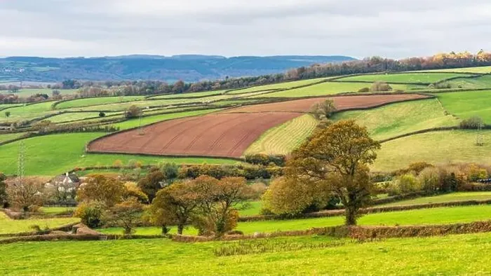 Framed Print : Devon Landscape Print in Autumn Colors Framed Print : Devon Landscape Print in Autumn Colors