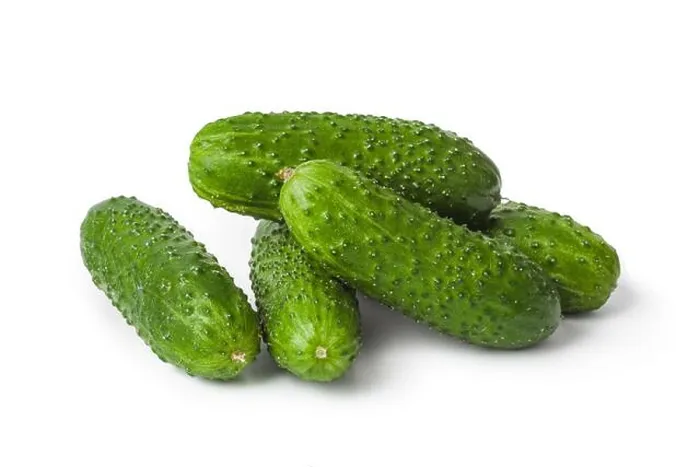 Framed Print : Fresh Cucumber Print on White Background Framed Print : Fresh Cucumber Print on White Background