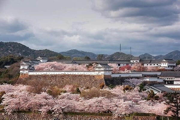 Himeji, Japan at Himeji Castle outer wall during spring cherry blossom season in the day