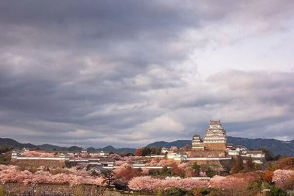 Himeji, Japan at Himeji Castle during spring cherry blossom season in the day