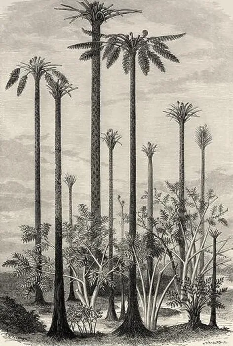 Framed Print : Primitive Landscape Print, 19th Century Engraving Framed Print : Primitive Landscape Print, 19th Century Engraving