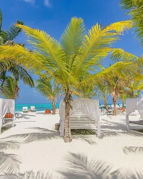 Outside lounging scenic, canopy and chairs relax vacation beach bar blue paradise sky sea and coconut tree in travel easy slow chill refreshment