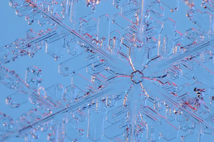 Framed Print : Snowflake Print under Microscope Magnification Framed Print : Snowflake Print under Microscope Magnification