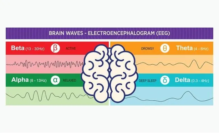 Framed Print : EEG Brain Waves Chart Print - Delta to Gamma Patterns Framed Print : EEG Brain Waves Chart Print - Delta to Gamma Patterns