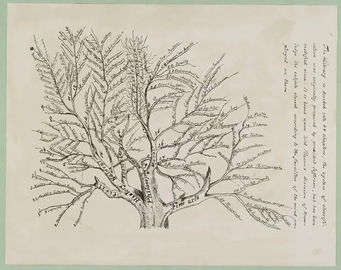 Framed Print : Tree of Library Classifications Print Framed Print : Tree of Library Classifications Print