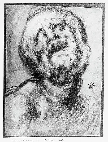 Bearded male face. Drawing by Pontormo. Room of Drawings and Prints in the Gallery of the Uffizi