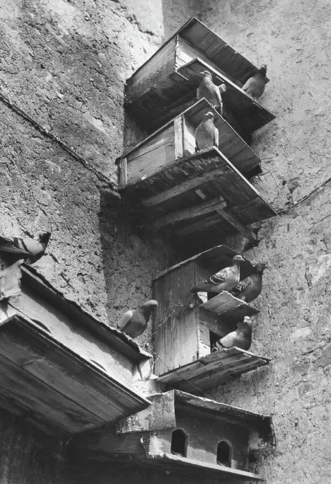 Framed Print : Boxes for pigeons Framed Print : Boxes for pigeons