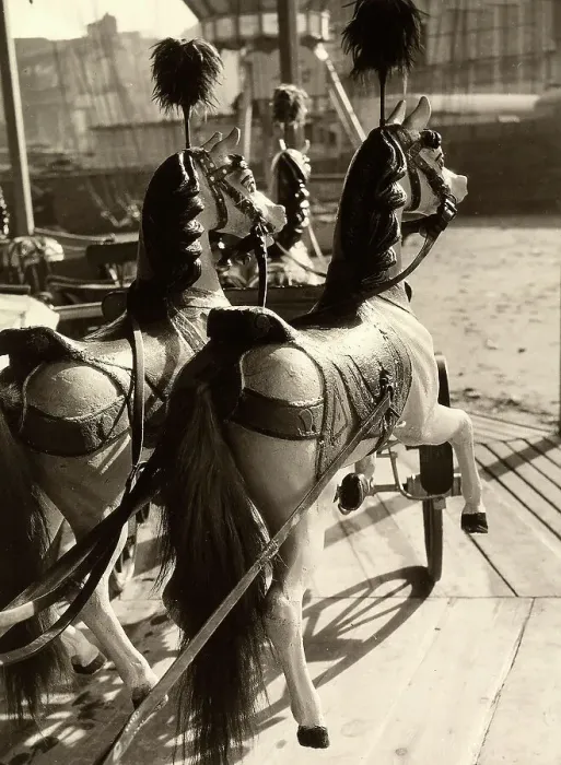 Framed Print : Two carousel horses Framed Print : Two carousel horses