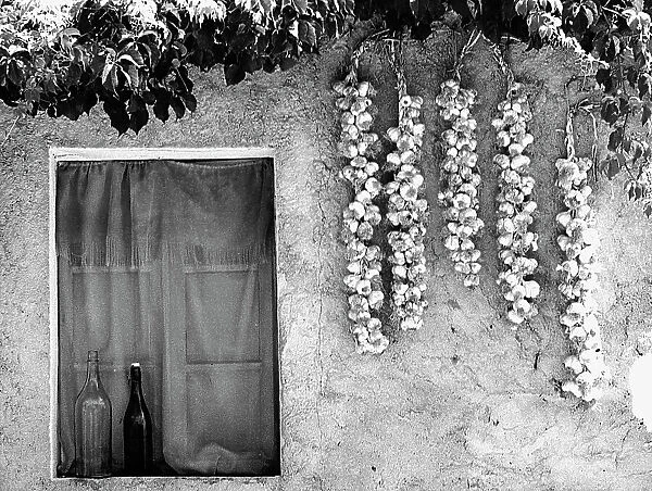 Garlic hung outside of a house