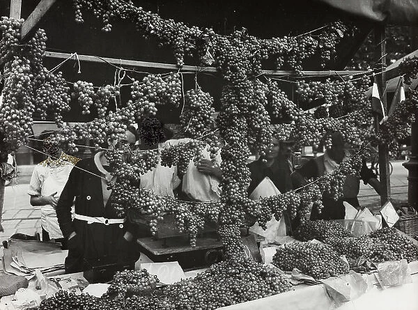 Grapes Piedmont. Date of Photograph:1920-1930