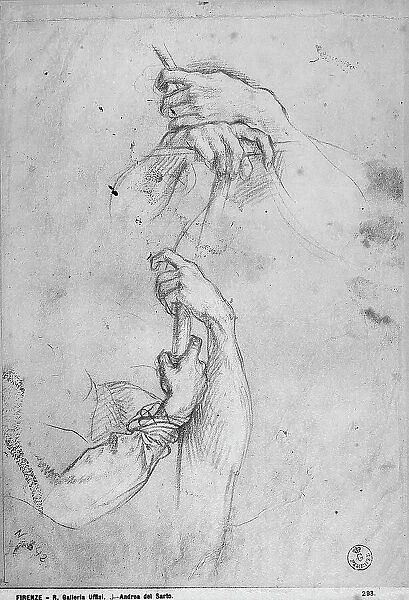 Hands. Study by Andrea del Sarto preserved in the Department of Drawings and Prints, Uffizi Gallery, Florence