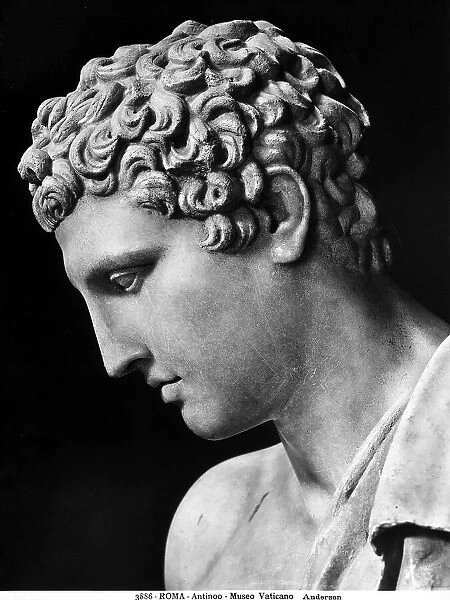 Head of Hermes, called Antinoos by Belvedere: Pius-Clementine Museum, Vatican Museums, Vatican City
