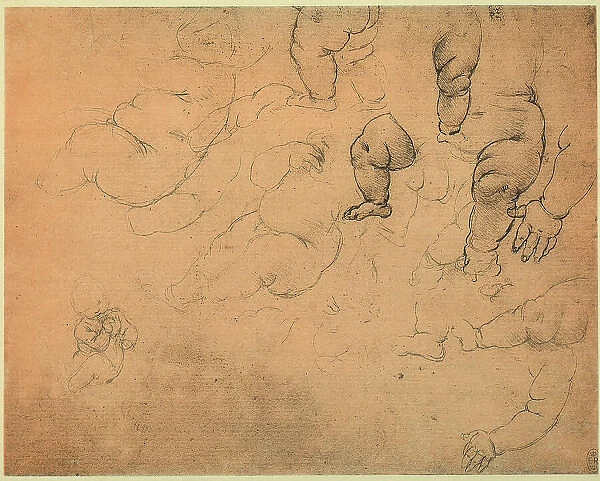 Infant anatomical studies; siverpoint drawing on pinkish paper by Leonardo da Vinci. Windsor Royal Library