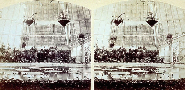 Interior of a greenhouse at the 1861 italian exposition in Florence