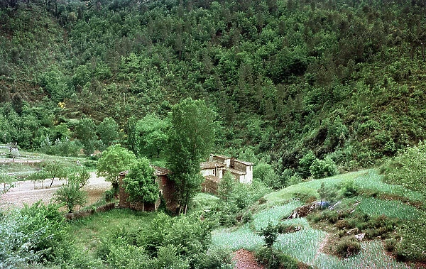 Landscape of San Polo in Chianti