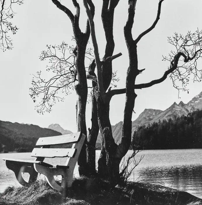 Framed Print : Bench on the lake Framed Print : Bench on the lake