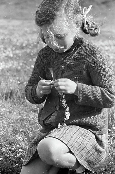Little girl creating a necklace of daisies
