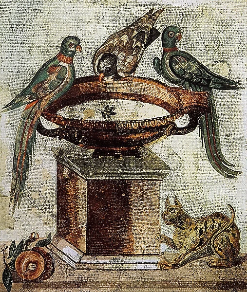 Mosaic with goblet, parrot and doves; work from Pompeii. Museo Archeologico Nazionale, Naples