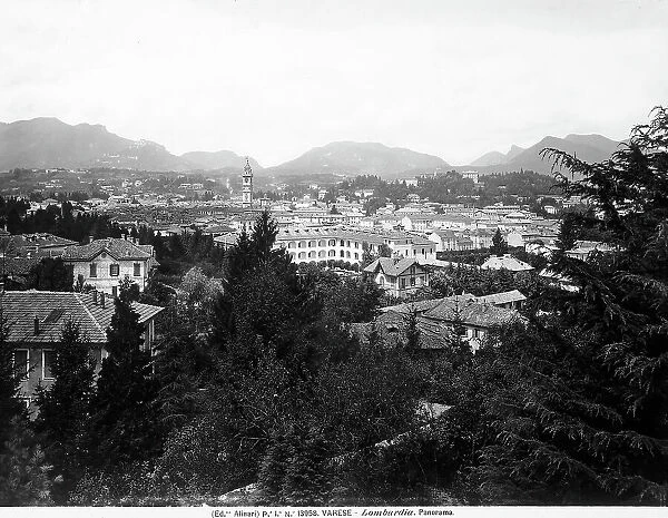 Panoramic view of the city of Varese with some trees in the foreground and mountains in the background