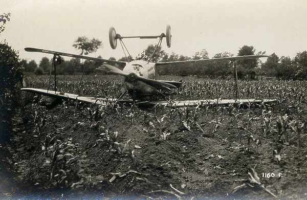 Plane crashed in a field during the First World War