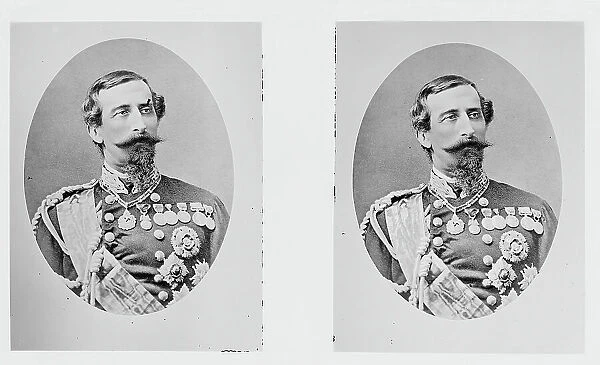 Portrait of Alfonso Lamarmora (1804 - 1878), multiple image
