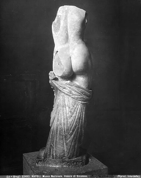 Portrait of the Sinuessa Venus. National Archaeological Museum in Naples