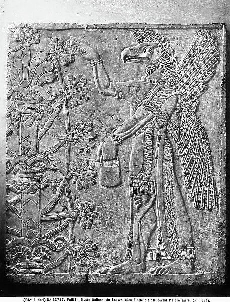 Sculpted tombstone with the figure of a divinity with an eagle's head in front of a sacred tree: work taken from Nimrud, preserved in the Louvre Museum, Paris