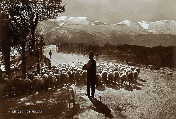 Shepherd in the mountains of 'La Maiella'