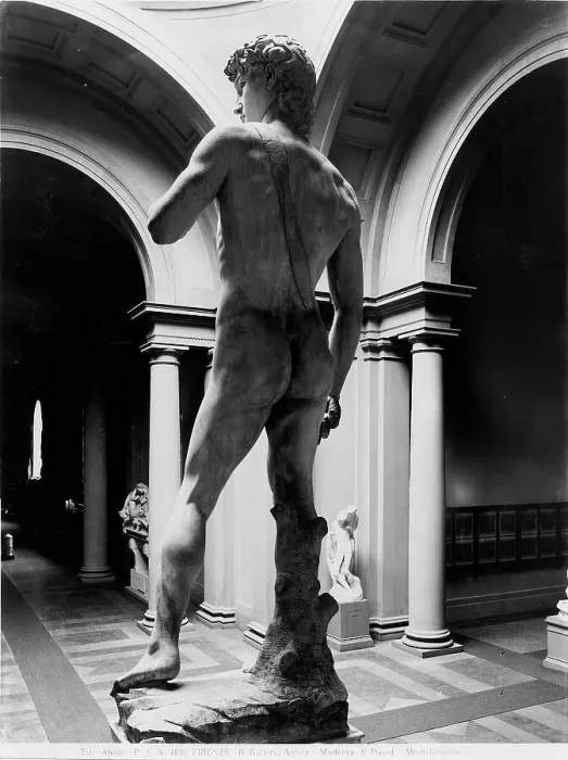 Framed Print : The Statue of David by Michelangelo, viewed from the back, in the tribune of the Galleria dell'Accademia of Florence Framed Print : The Statue of David by Michelangelo, viewed from the back, in the tribune of the Galleria dell'Accademia of Florence