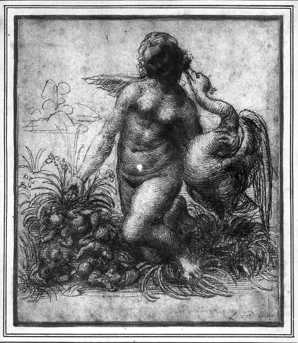 Framed Print : Study for Leda, drawing by Leonardo da Vinci, now in a private collection in London Framed Print : Study for Leda, drawing by Leonardo da Vinci, now in a private collection in London