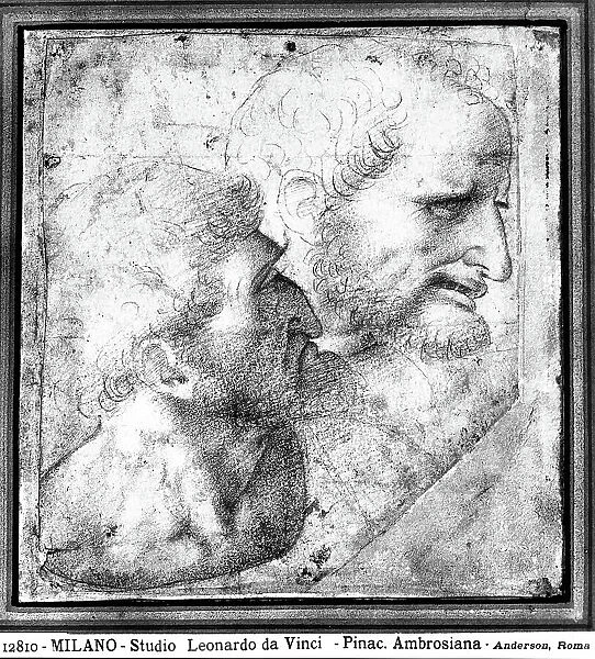 Study of two male heads. Drawing attributed to Leonardo da Vinci, preserved in the Ambrosian Library, Milan