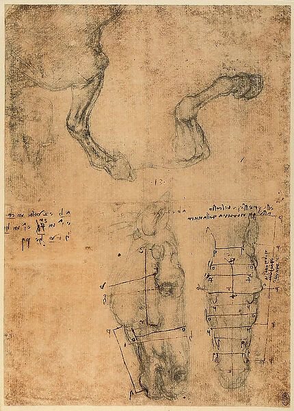 Study of the proportions of the head and the foreleg of a horse, silver point drawing on lightly pink paper by Leonardo da Vinci and preserved at the Royal Library of Windsor