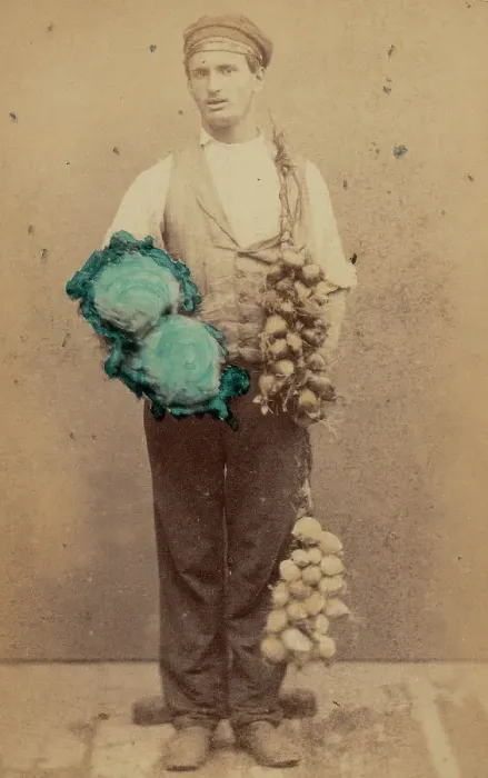 Framed Print : Vendor vegetable