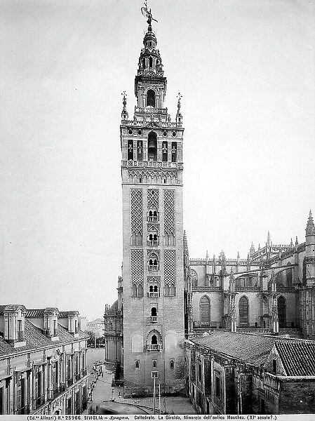 View of the Bell tower of the Cathedral of Seville