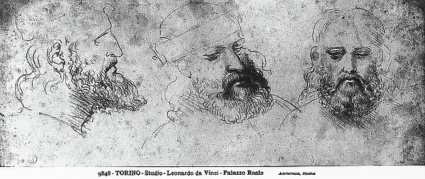 Three views of a virile head with a beard, ca. 1502, sanguine on paper, 111x284 mm, Leonardo da Vinci, Biblioteca Reale, Musei Reali, Turin