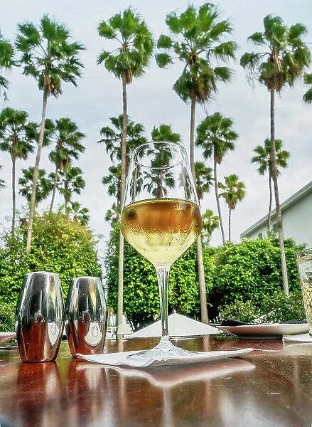 Florida, Miami Beach, South Beach, white wine at the Delano Hotel