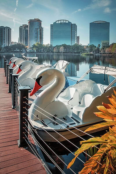 Florida, Orlando, Lake Eola and downtown views with swan paddleboats
