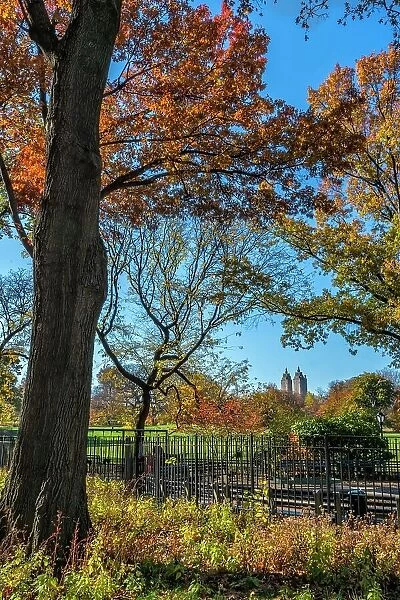 New York City, Manhattan, Central Park