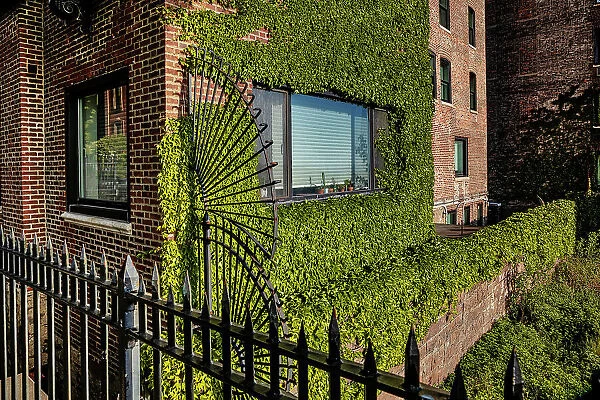 NYC, Brooklyn, Brooklyn Heights, building covered by green plants