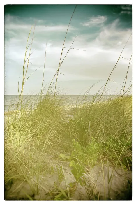 Framed Print : Sand Dune Beach Print Framed Print : Sand Dune Beach Print