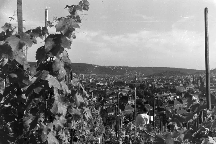 Framed Print : Panoramic Print of Stuttgart from Vineyards Framed Print : Panoramic Print of Stuttgart from Vineyards
