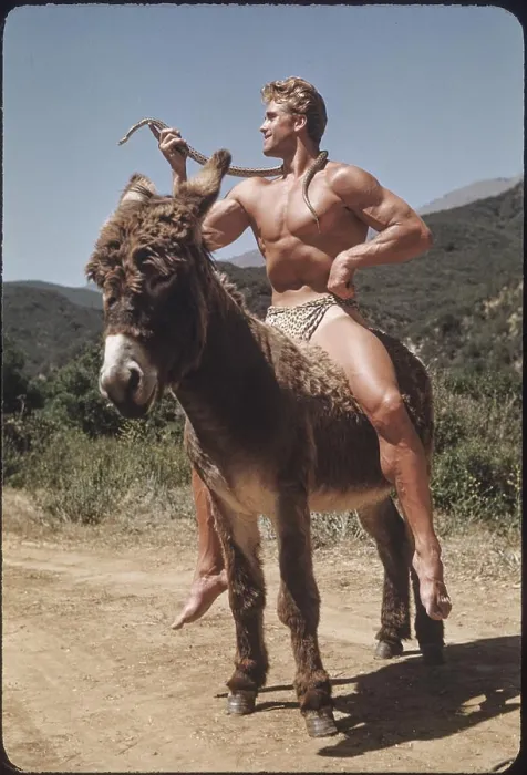 Framed Print : Print of a Bodybuilder with a Snake on a Donkey Framed Print : Print of a Bodybuilder with a Snake on a Donkey
