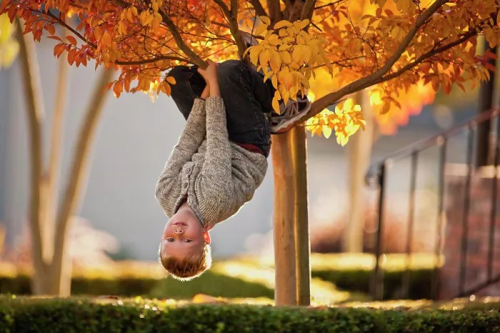 Framed Print : Boy Hanging Upside Down Print Framed Print : Boy Hanging Upside Down Print