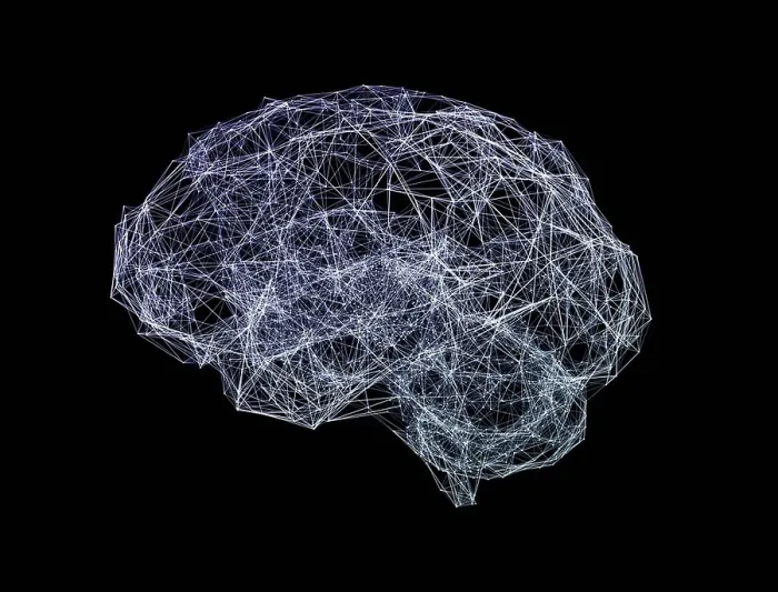 Framed Print : Brain Shaped Network Print Framed Print : Brain Shaped Network Print