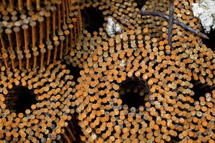 Framed Print : Rusty Nails Print Framed Print : Rusty Nails Print