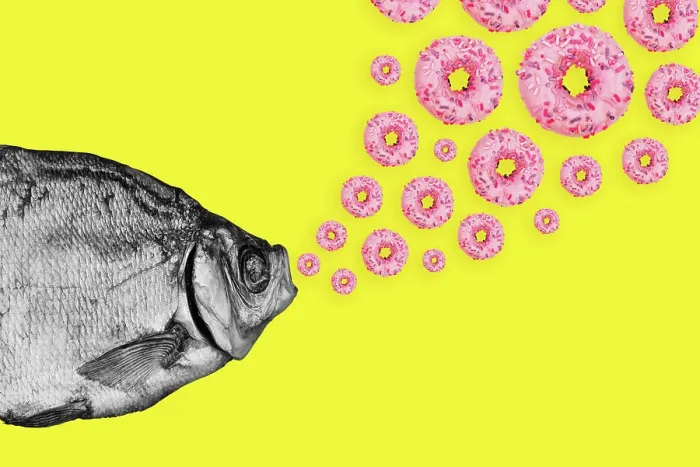 Framed Print : Colored Background Print of Fish and Donuts Collage Framed Print : Colored Background Print of Fish and Donuts Collage