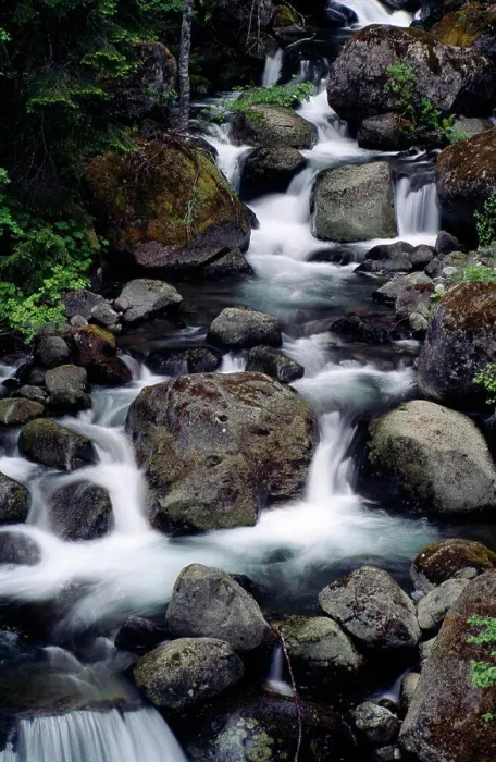 Framed Print : Nickel Creek Stream Print Framed Print : Nickel Creek Stream Print