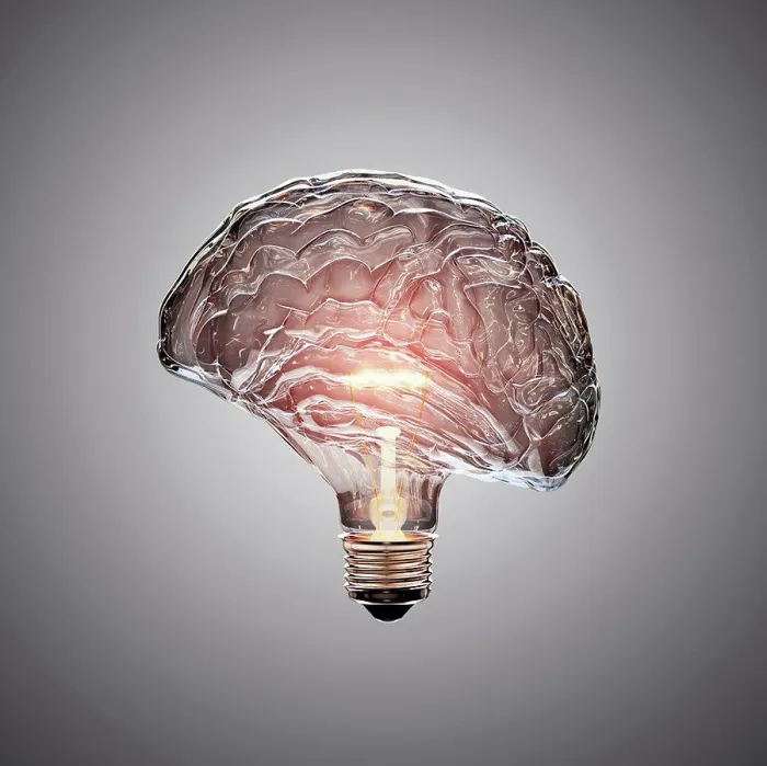 Framed Print : Human Brain in Light Bulb Shape Print Framed Print : Human Brain in Light Bulb Shape Print